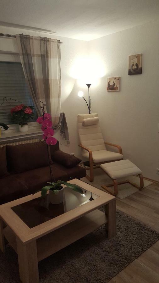 Ochmanns Ferienwohnung Meschede Extérieur photo
